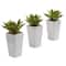 9" Mini Agave Arrangement in White Planter, 3ct.